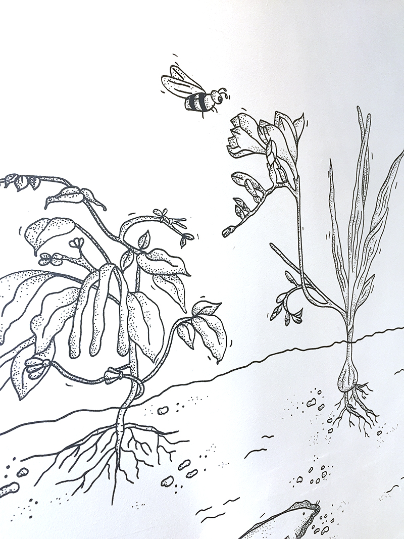 Detail muurtekening Potatolicious Gent